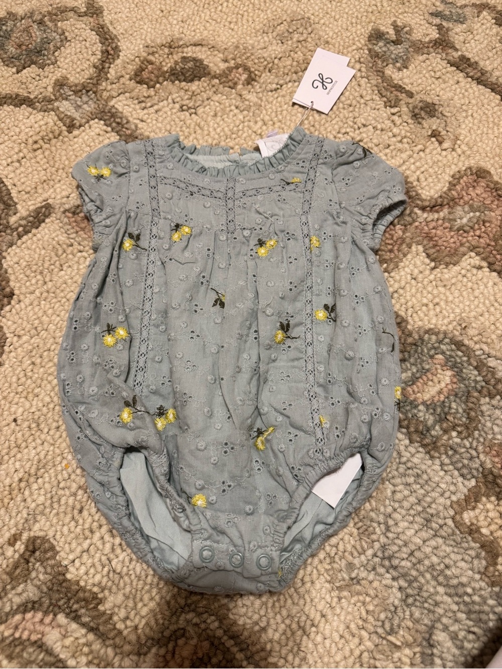 Baby Girls' Light Blue Embroidered Floral One-Piece